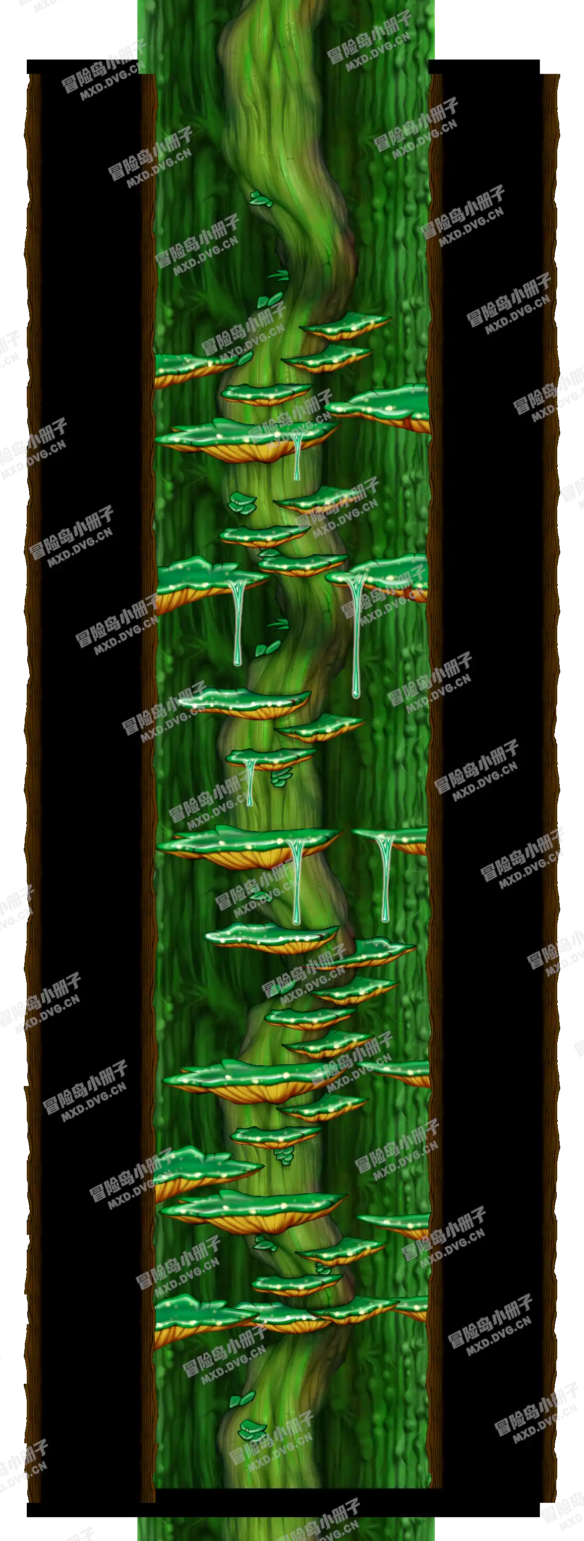 北部森林训练场Ⅴ