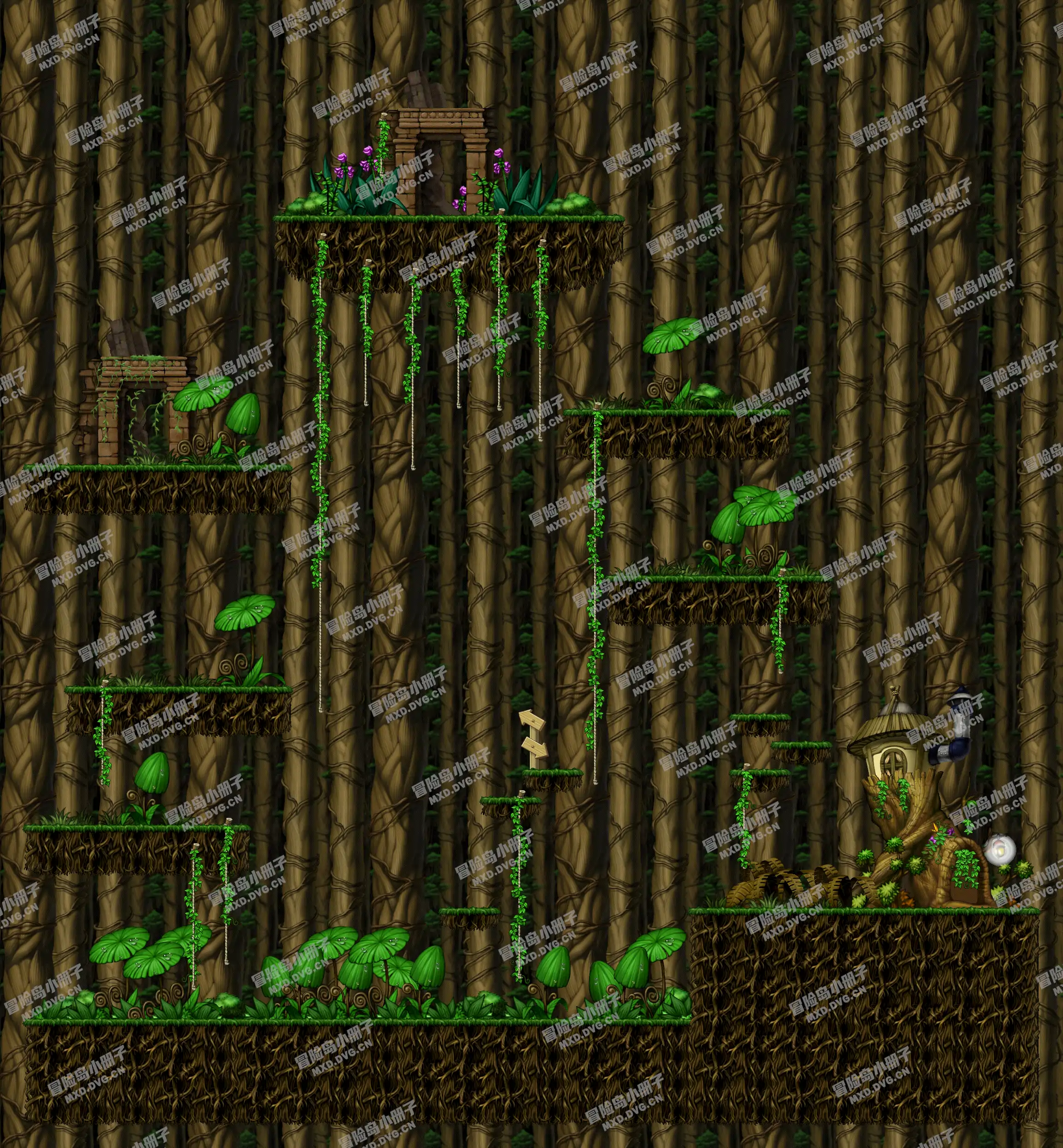 Damp Tree-Forest