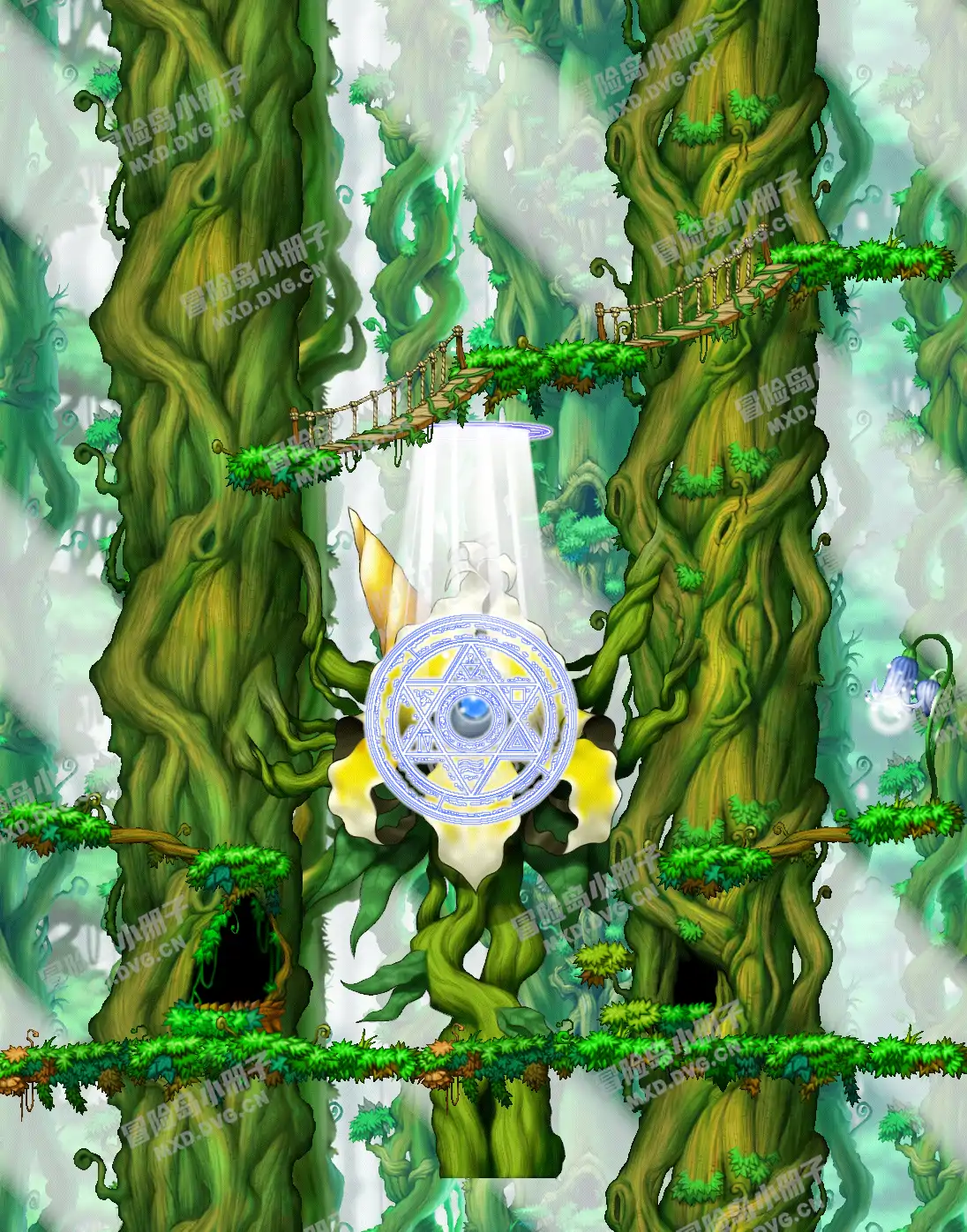 Marr's Forest