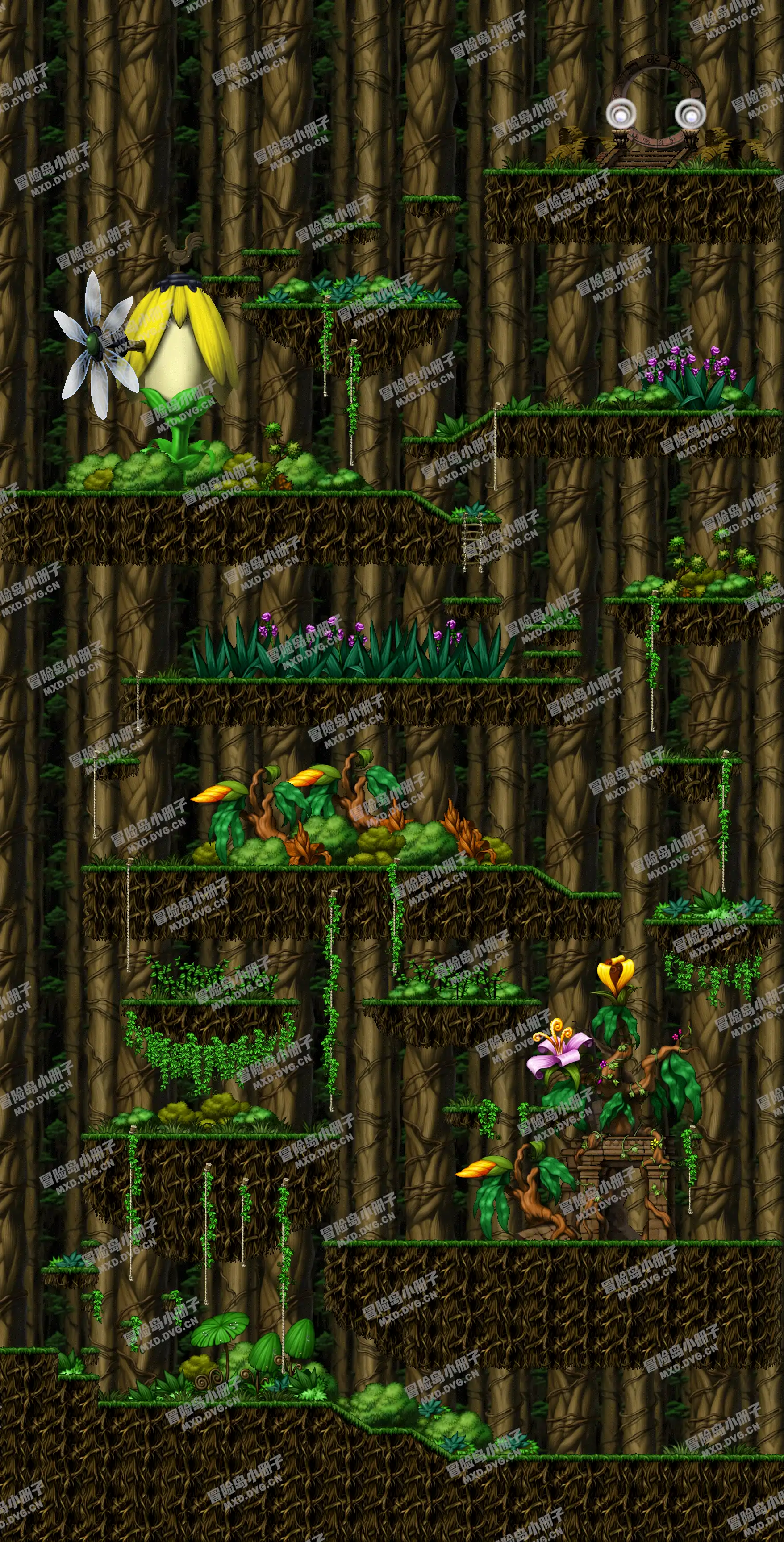 Swampy Land in a Deep Forest