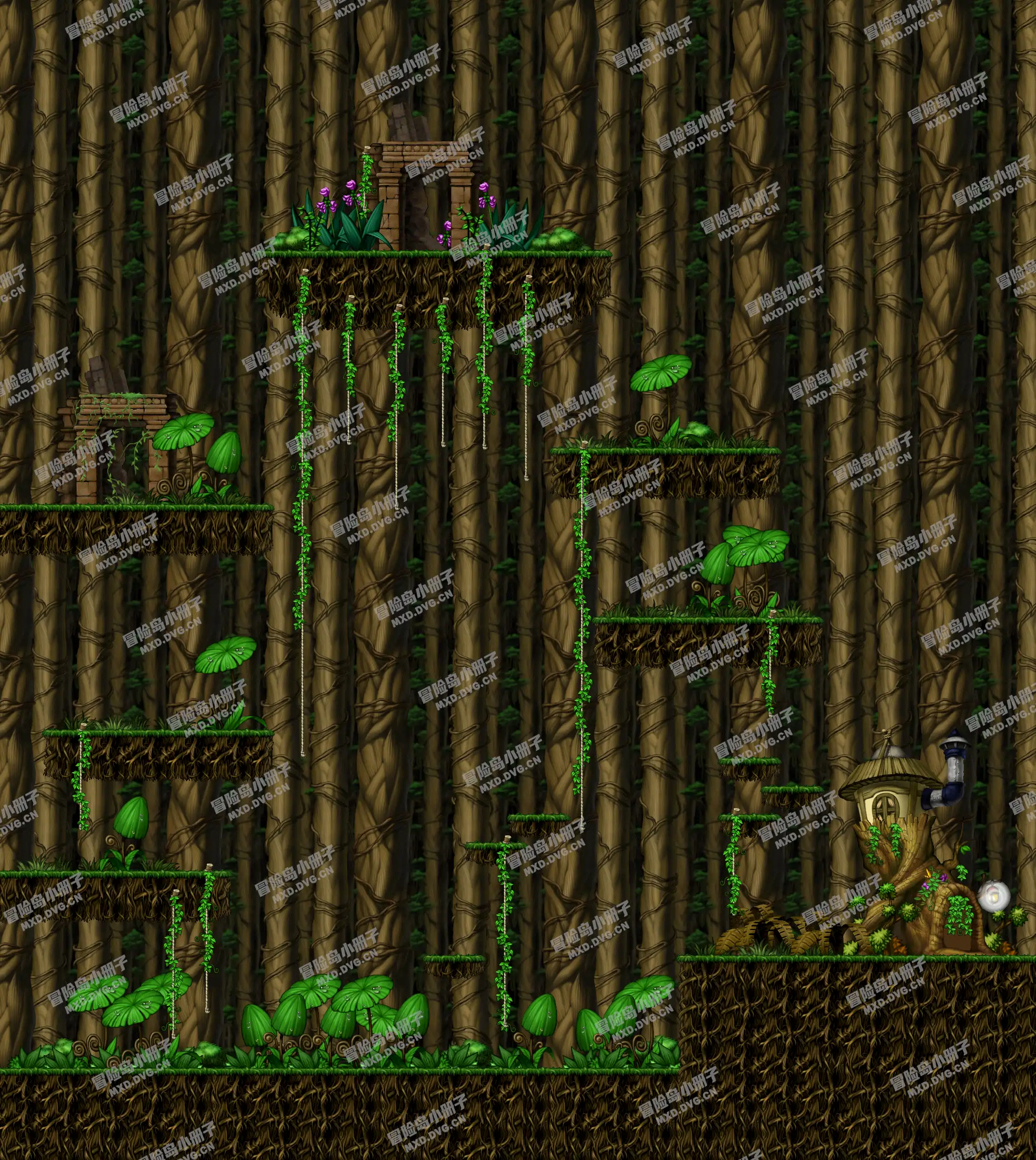 Damp Tree-Forest