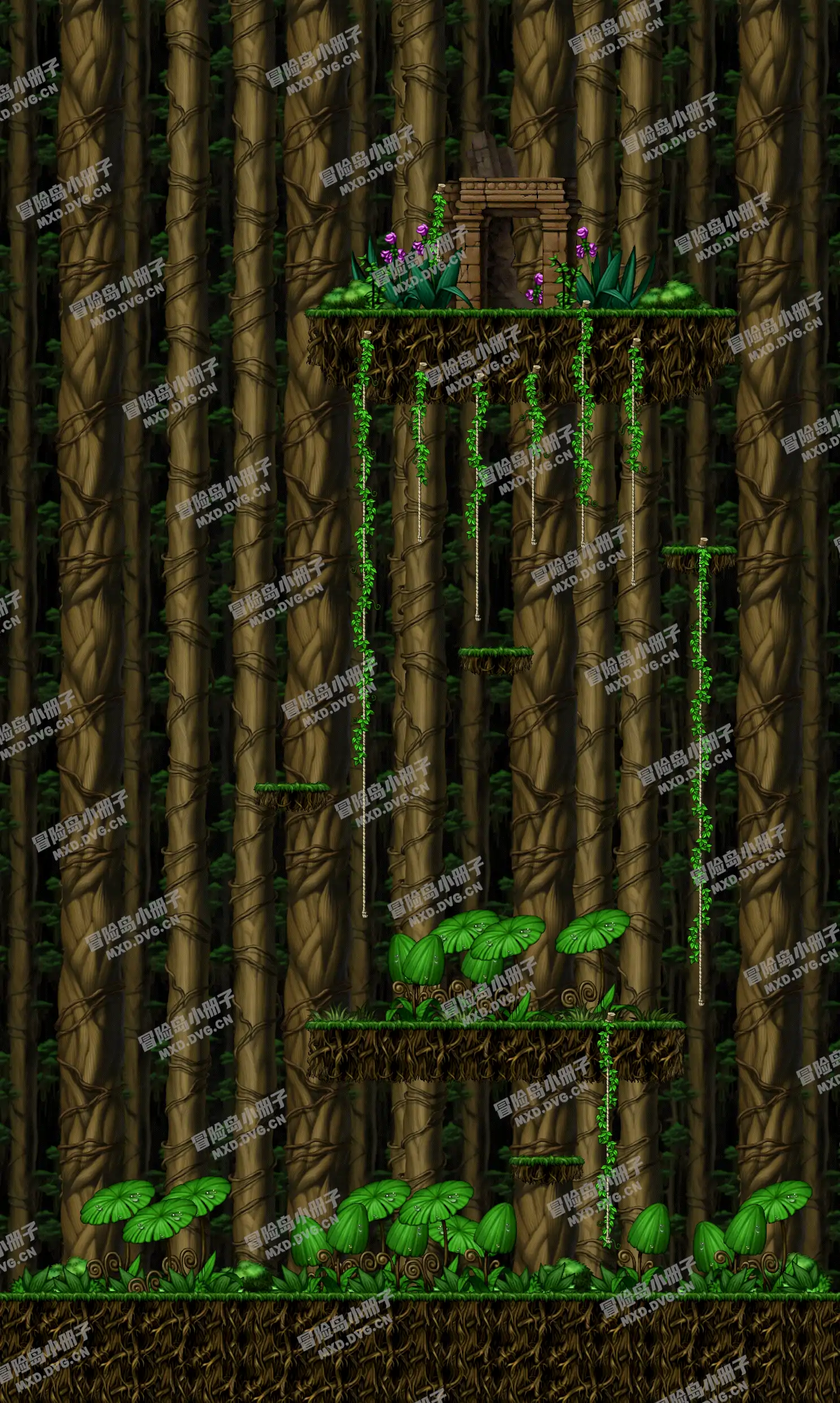 Damp Forest
