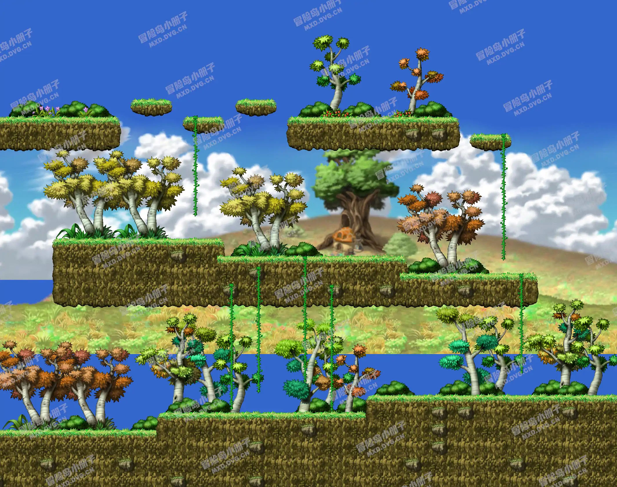 Dangerous Forest