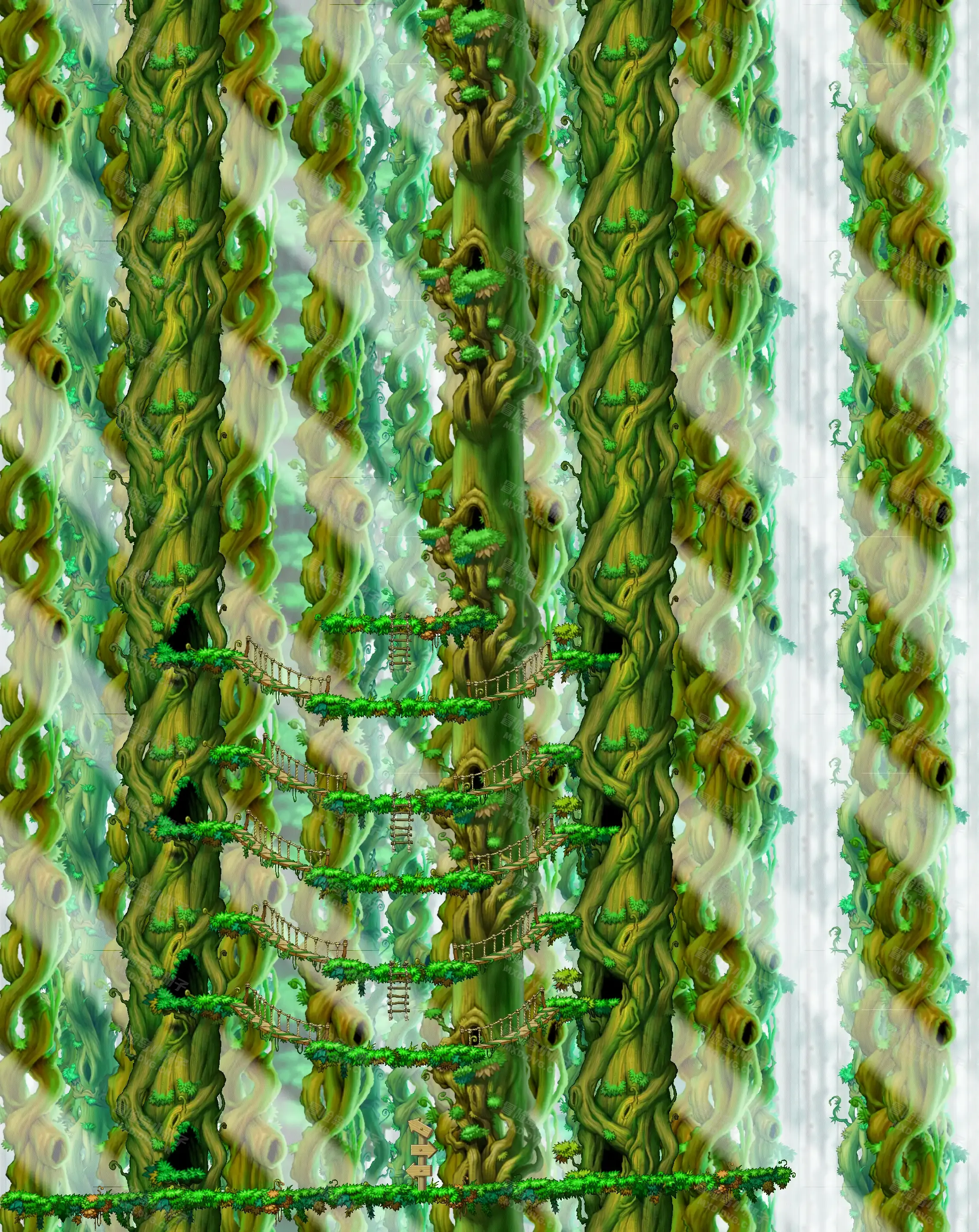 大木林1