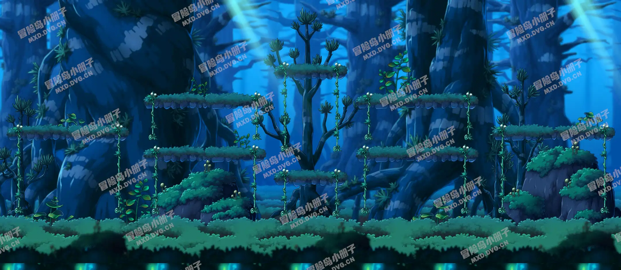 Shadowy Forest