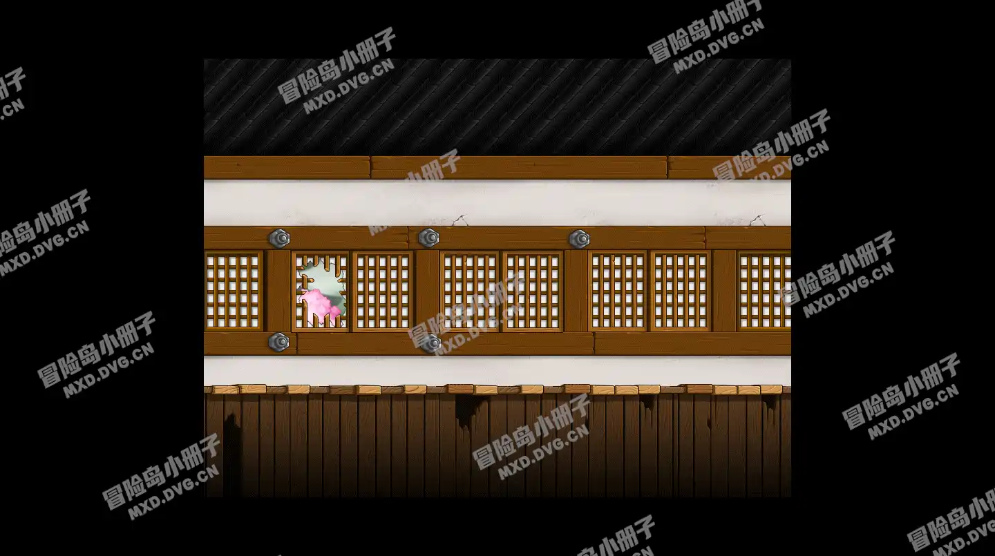 Ninja Castle Corridor