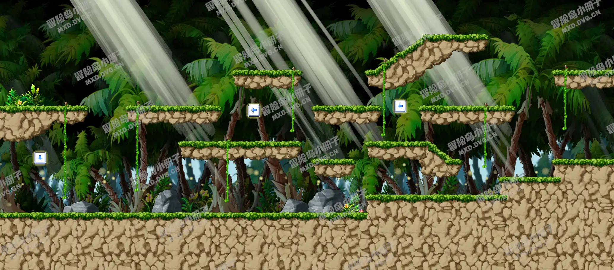 Suspicious Forest Entrance