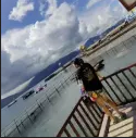 这只兔子爱种花