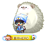 衰中HERO