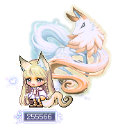 255566