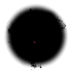 name