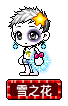 雪之花