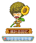 枫叶总回忆